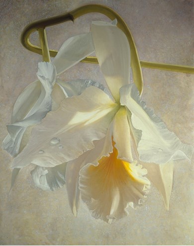 cattleya alba painting by Alain Senez