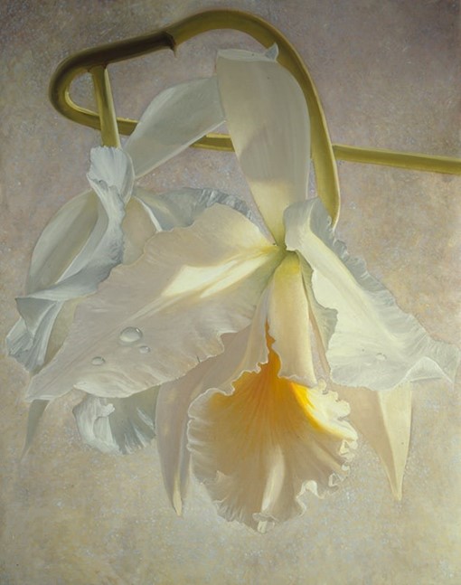 cattleya alba painting by Alain Senez