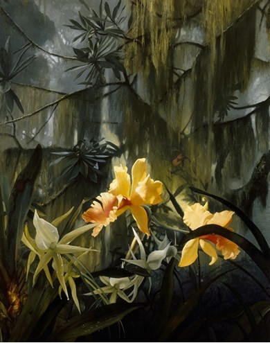 le bal des orchidee painting by Alain Senez