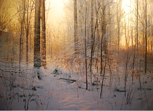 Silence De La Neige painting by Alain Senez