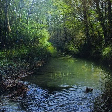 une riviere painting by Alain Senez
