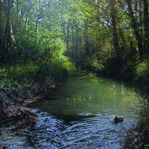une riviere painting by Alain Senez